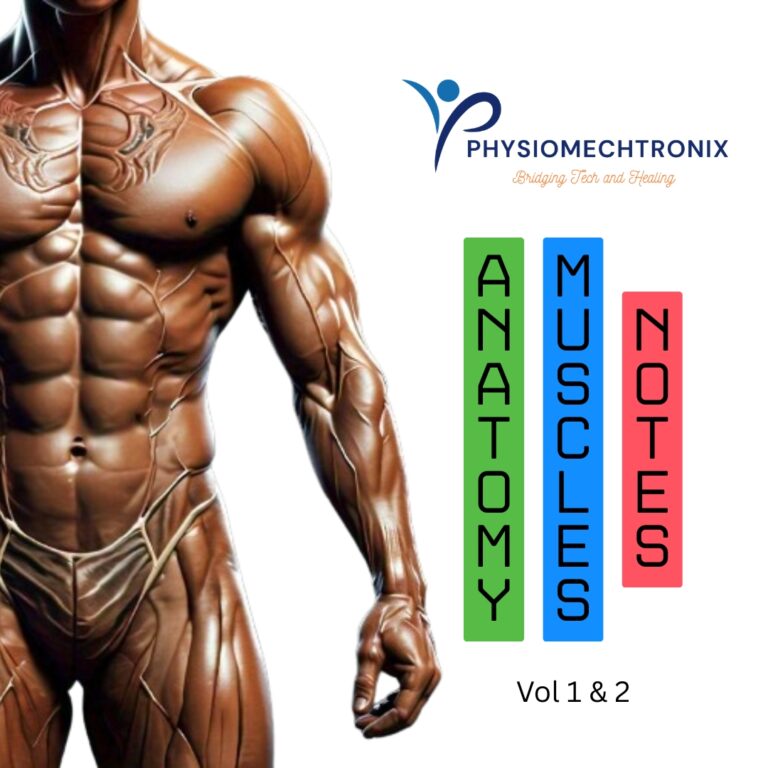 Read more about the article Muscles Notes